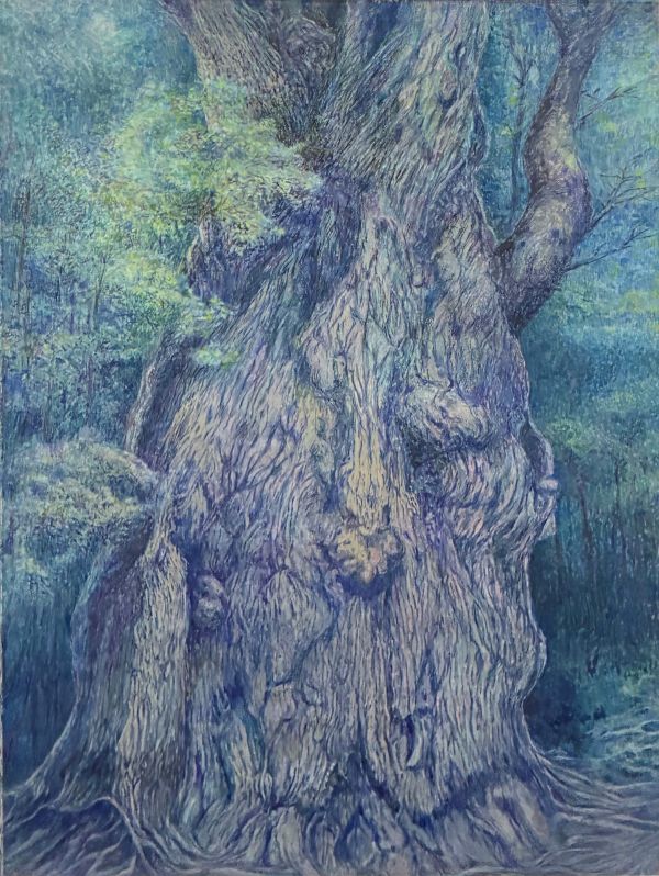 第74回 光陽展　今井　文子（イマイフミコ）屋久杉 水　変50